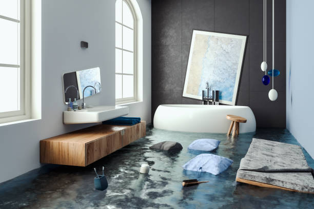 Best Professional water damage repair  in Fort Valley, GA