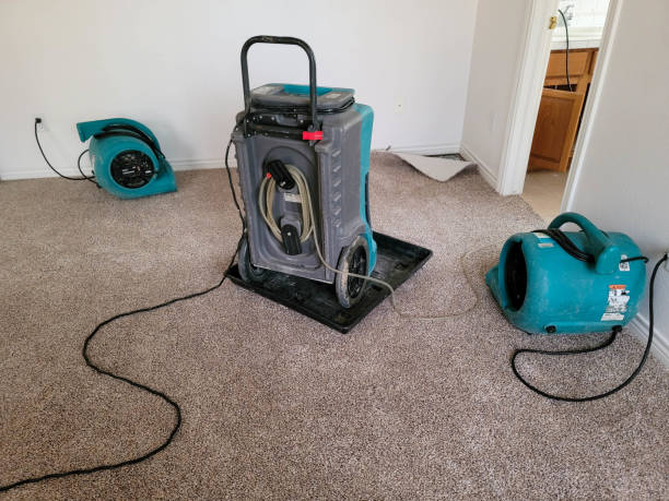 Best Flood damage cleanup  in Fort Valley, GA