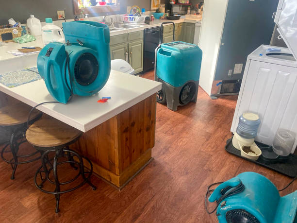 Best Local water damage restoration  in Fort Valley, GA