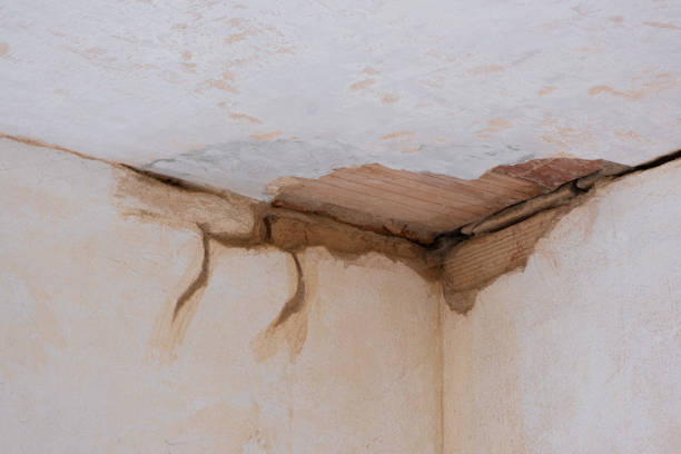 Best Carpet water damage restoration  in Fort Valley, GA