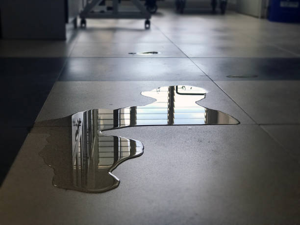 Best Water damage cleanup near me  in Fort Valley, GA