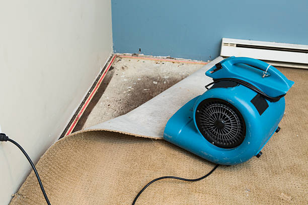 Best 24/7 water damage repair  in Fort Valley, GA